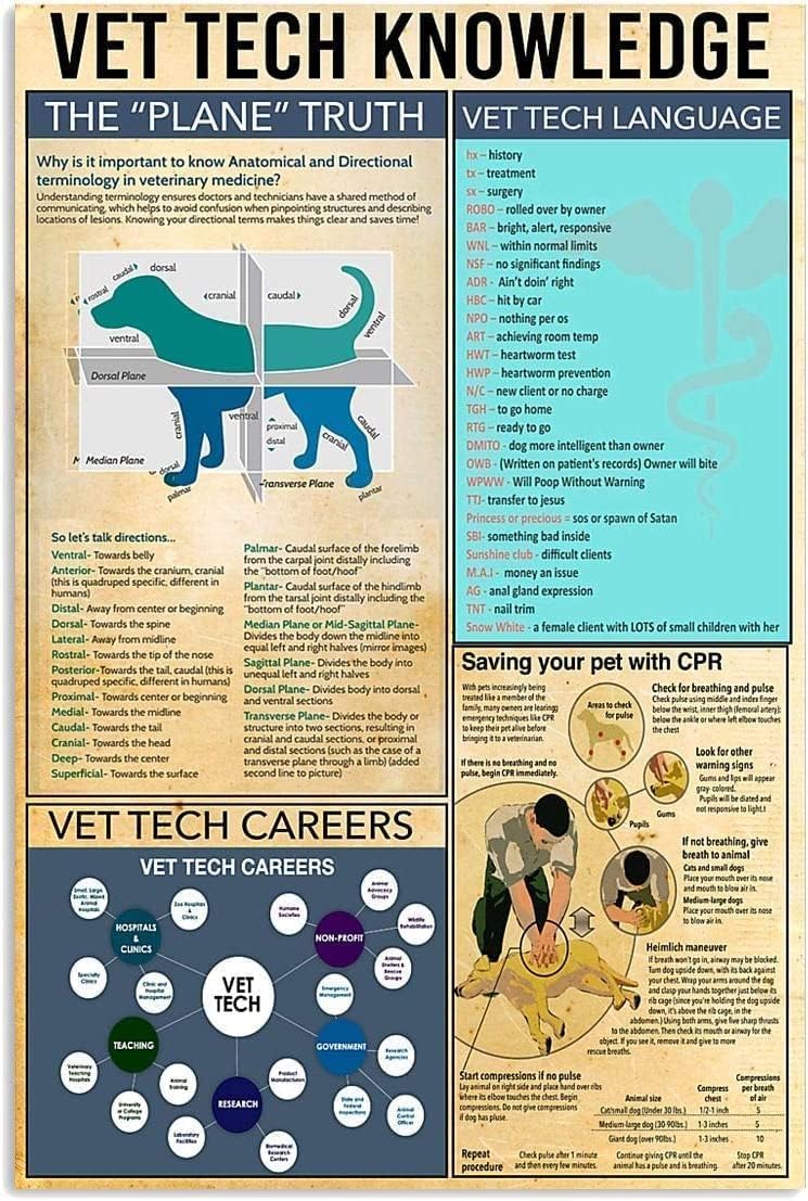 ESETASOT Placa de Metal Vintag - Tech Office Wall Art avaliação e preço